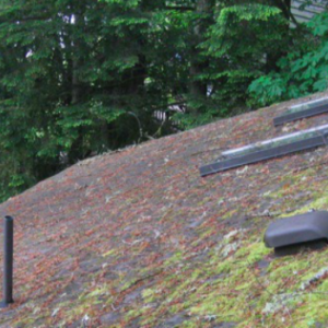 Mossy Roof Slider