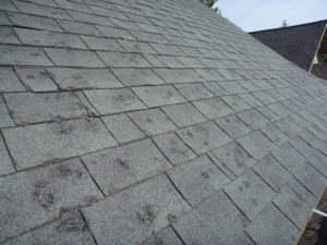Hail Damage to Your Roof System, Austin area, hailstorms and windstorms are common events, Hail typically causes random property damages, Hail damage