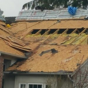 cleanup roof