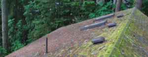 Getting Algae and Moss Off the Roof, Alpha Roofing, Austin, TX