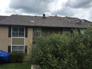 Commercial Roofing & Trees, austin roofing contractors
